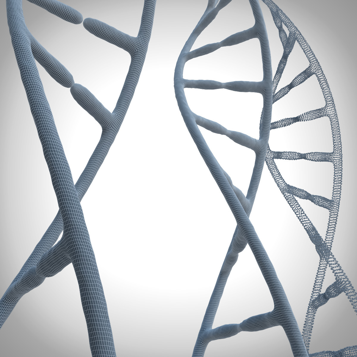 3d модель ДНК для принтера. 3д модель ДНК PDB. Valmet DNA d201435/01. DNA model in Museum.