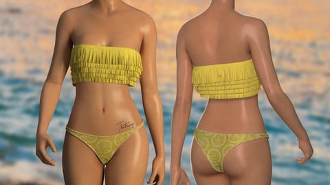 Marvelous Designer,Clo3d project |Fringe bikini