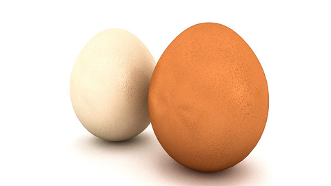 White & Yellow Eggs