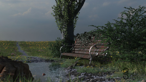 "AGED BENCH" | Virtual Photography | 2K PNG File + Alpha Channel