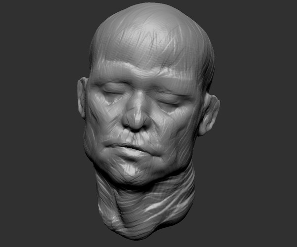 ArtStation - Head Sculpt - Anatomy Study | Resources