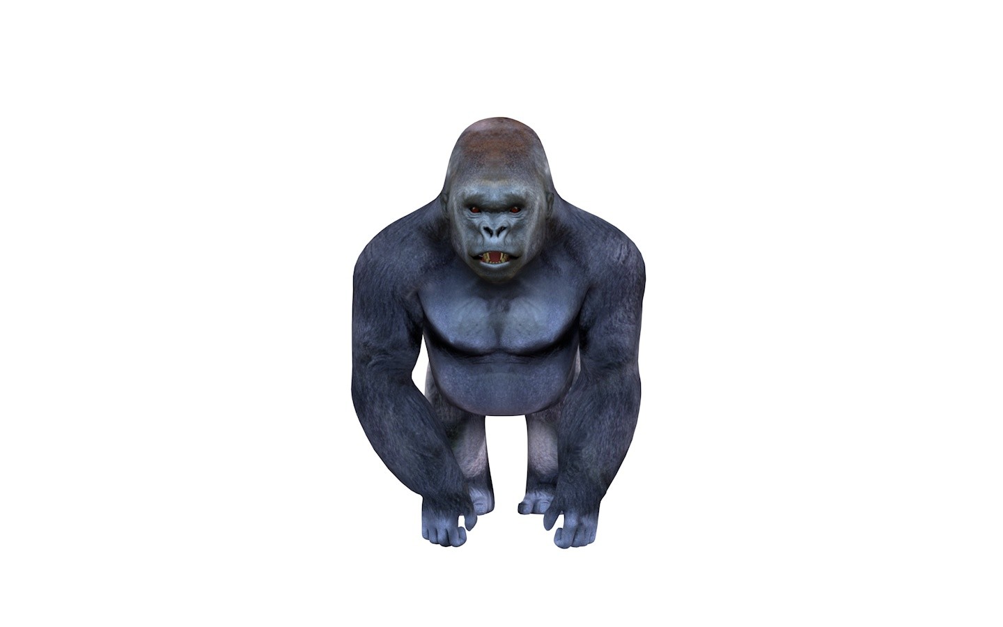 maya gorilla 3d model