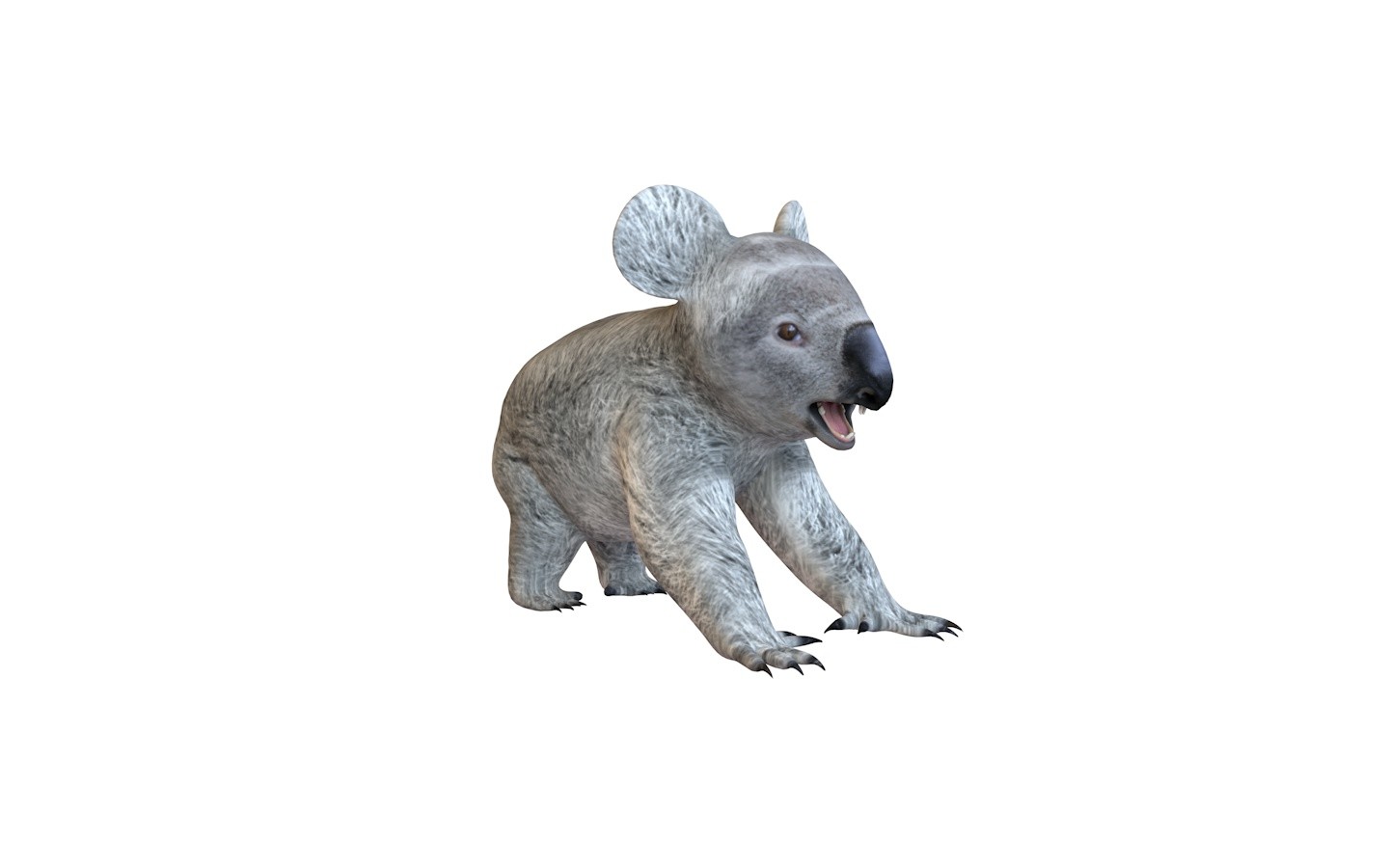 ArtStation Koala 3D Model Resources