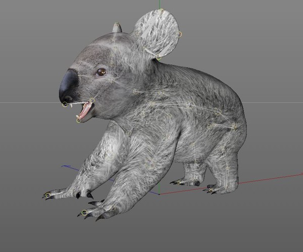 ArtStation Koala 3D Model Resources