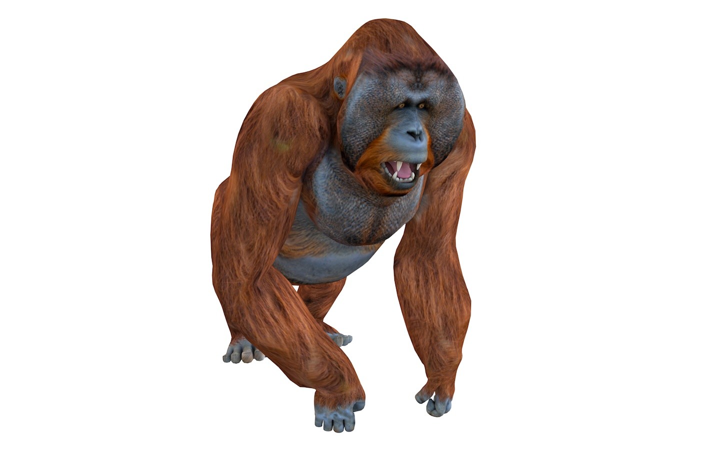 ArtStation Orangutan 3D Model Resources
