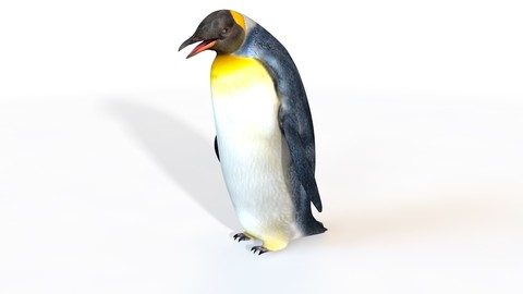 Penguin 3D Model
