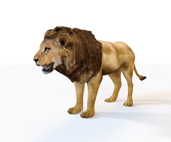 ArtStation 25 Rigged Zoo Animals 3D Model Collection Resources