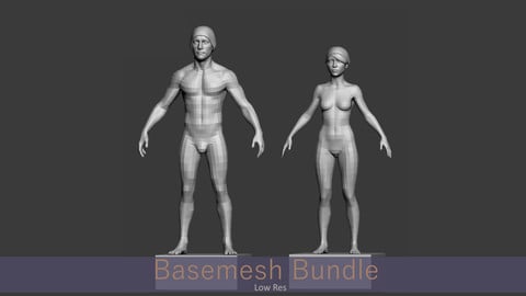 Basemesh Bundle - Low Res