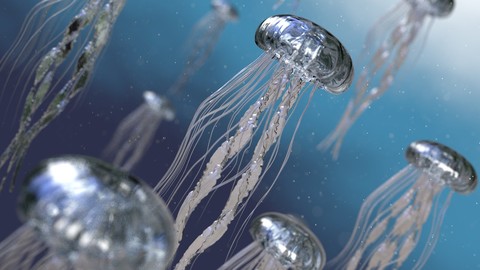 Jelly Fish 3D Model