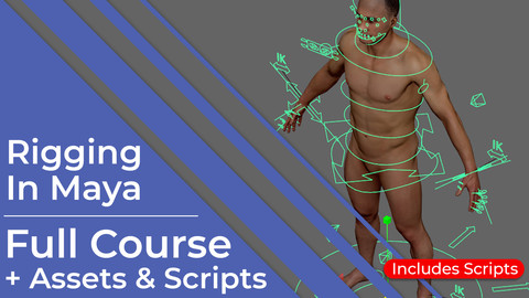 Rigging In Maya - Full Assets & Scripts