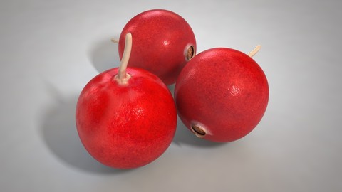 Cranberry 3D Model