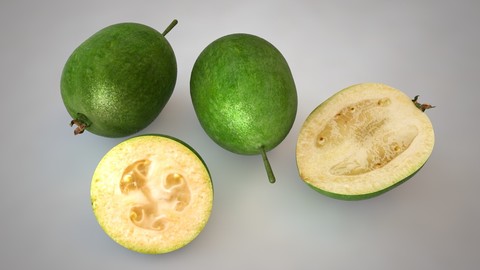 Feijoa 3D Model