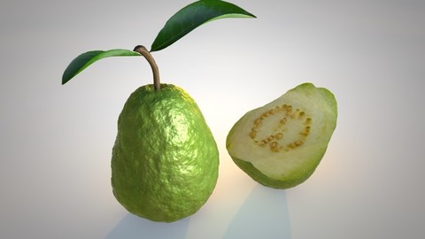 Guava 3D Model