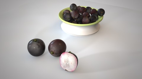 Jaboticaba  3D Model