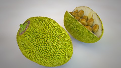 Jack Fruit 3D Model