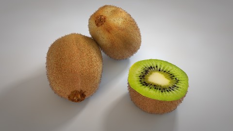 Kiwi 3D Model