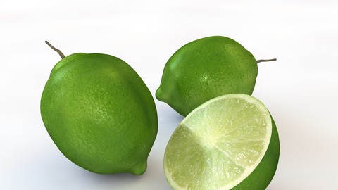Lime 3D Model