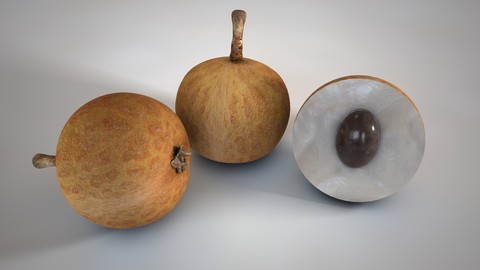 Longan 3D Model