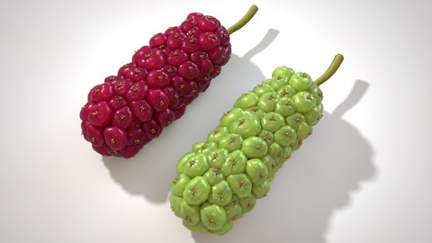 Mulberry 3D Model