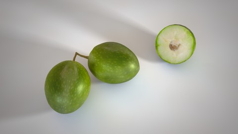 Olive 3D Model