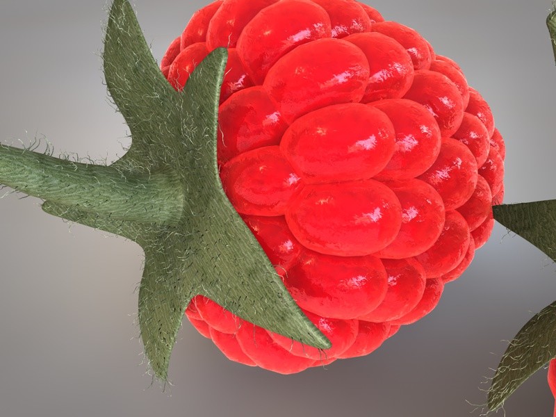 Raspberry 3d model