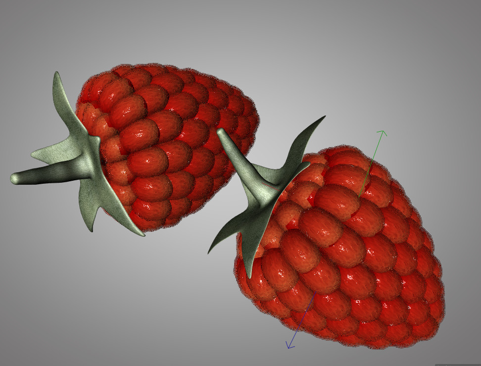 Raspberry 3d model