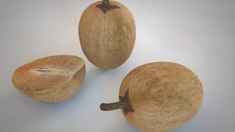 Sapodilla 3D Model