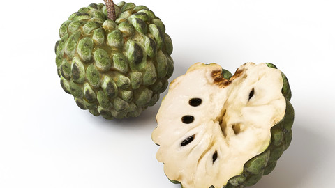 Sugar Apple _ annona 3D Model