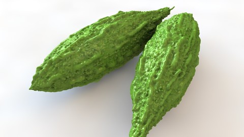 Bitter gourd 3D Model