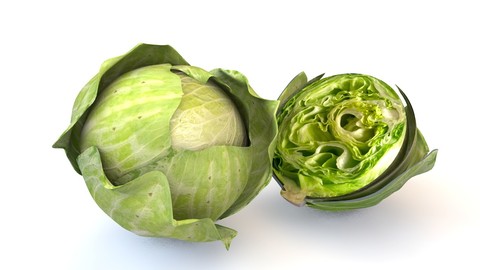 Cabbage (Green) 3D Model