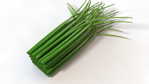 Chives 3D Model