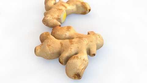 Ginger 3D Model