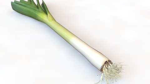 Leeks 3D Model