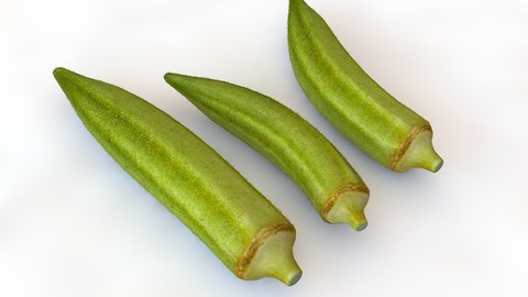 Okra _ Lady finger 3D Model