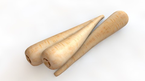 Parsnips 3D Model