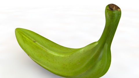 Plantain green 3D Model