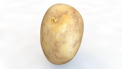 Potato B 3D Model