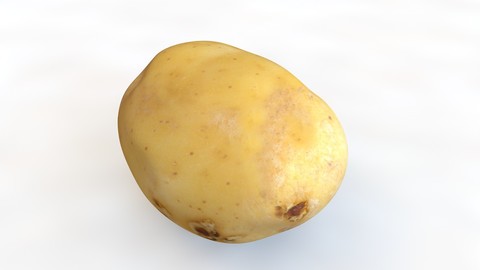 Potato C 3D Model
