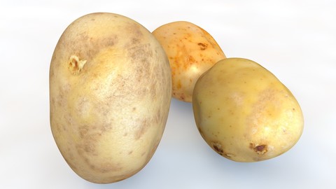 Potatoes 3D Model