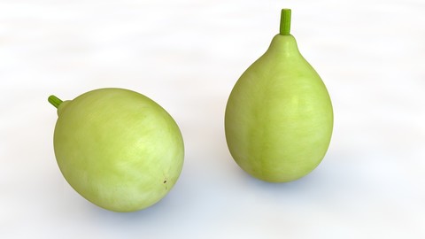 Round Gourd 3D Model
