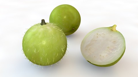 Tinda 3D Model