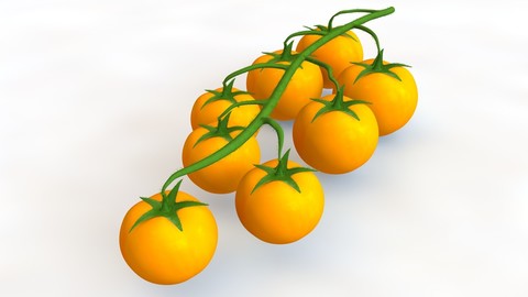 Tomato bunch yellow 3D Model
