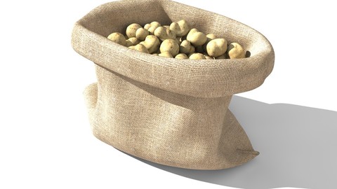 Sack potato 3D model