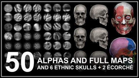 50 Full Alphas With Maps and 6 Skulls