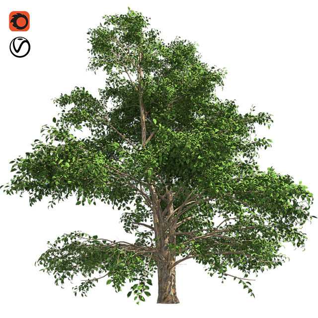 ArtStation - Tree Collection Vol 002 (32 Trees) | Resources