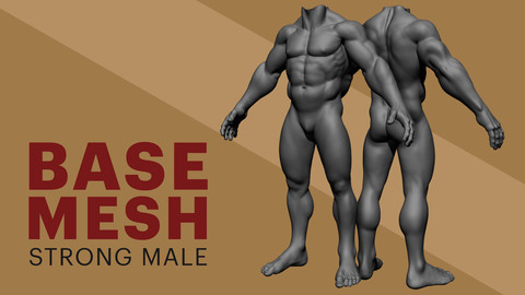 Body Basemesh - Strong male