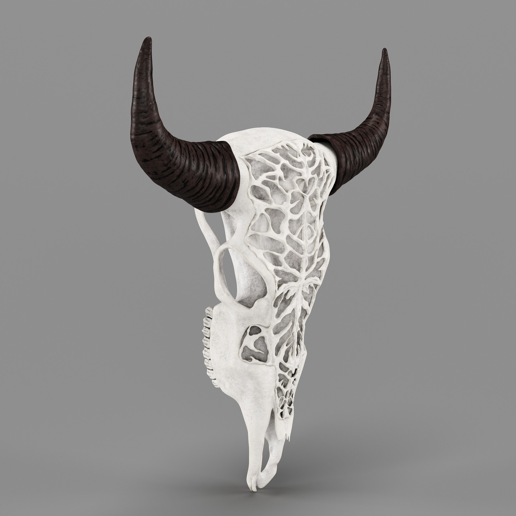 ArtStation Wall decor Bull Skull with bone carving Resources