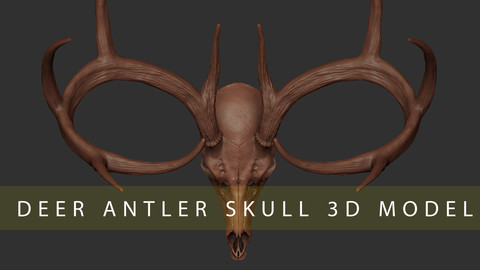 DEER ANTLER SKULL 3D MODEL