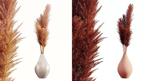 Pampas Bouquet Flower Vol_01