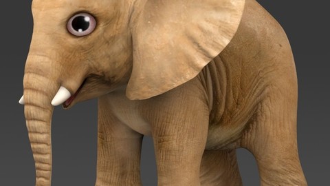 3D Baby Elephant